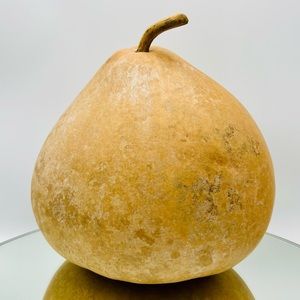 Clean Dried Natural Gourd 
ARTS & CRAFTS Project Ready Large Round Vase Style